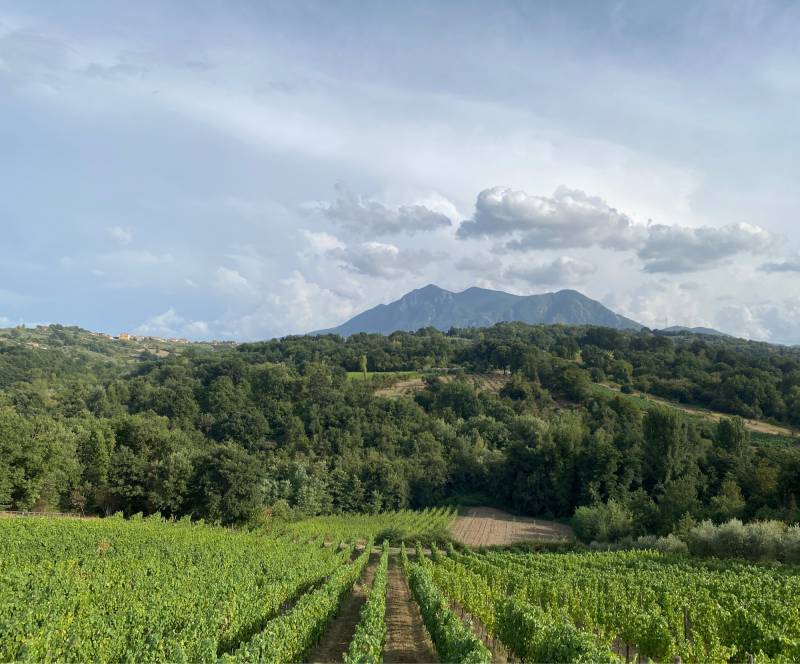 Fotosegnalazione di Lapio