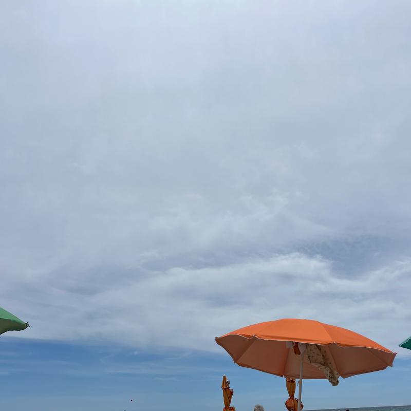 Velato e ventoso