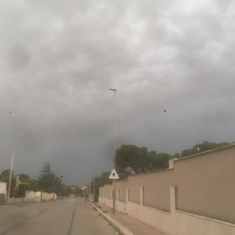 Fotosegnalazione di Bisceglie