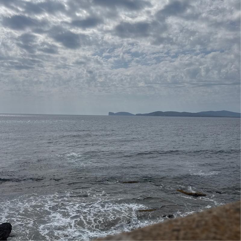Fotosegnalazione di Alghero