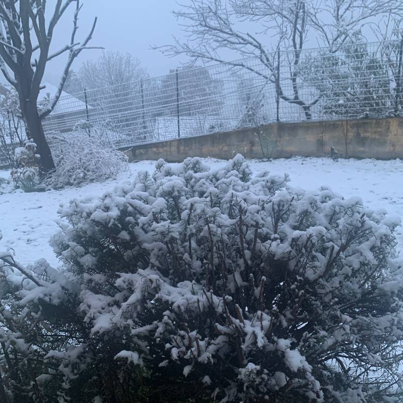 Leggera nevicata ma strade pulite