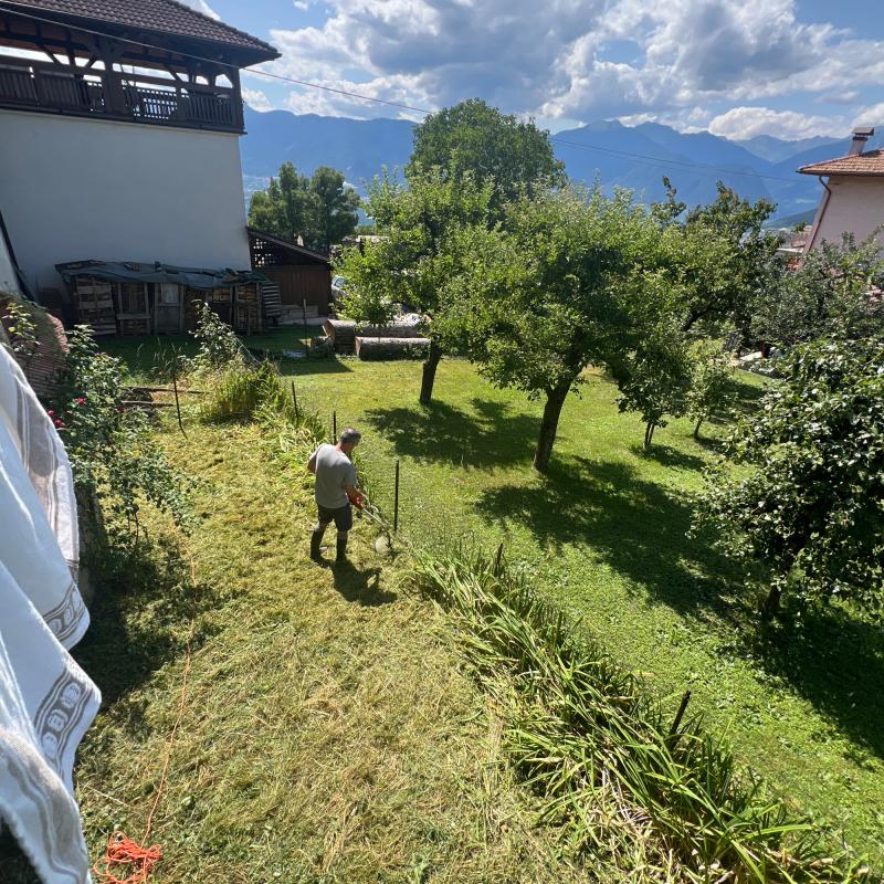 Fotosegnalazione di Romeno