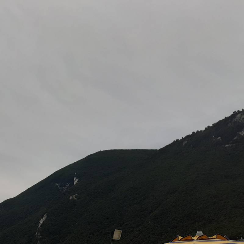 Fotosegnalazione di Ancona parco del conero