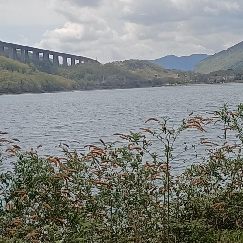 Fotosegnalazione di Vittorio veneto