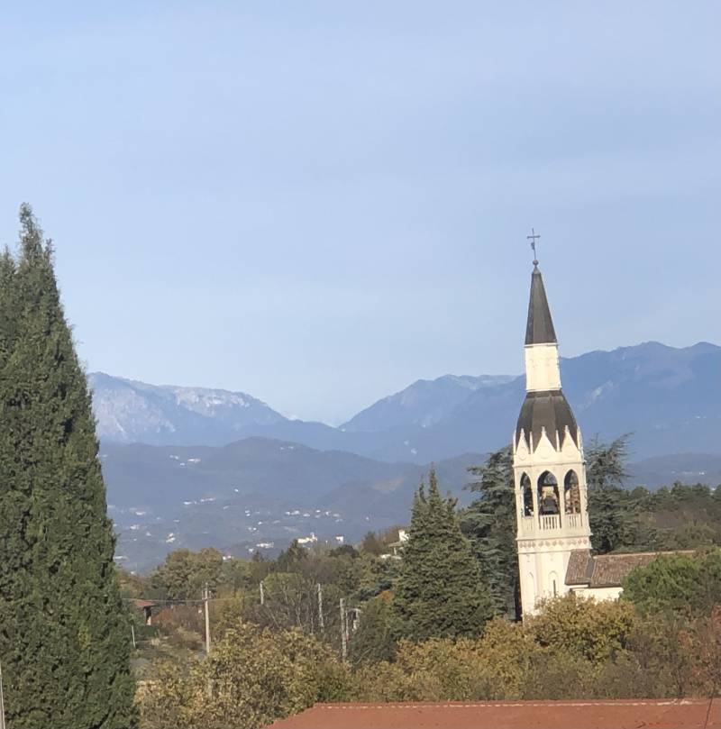 bellissima giornata 21 -11-2024