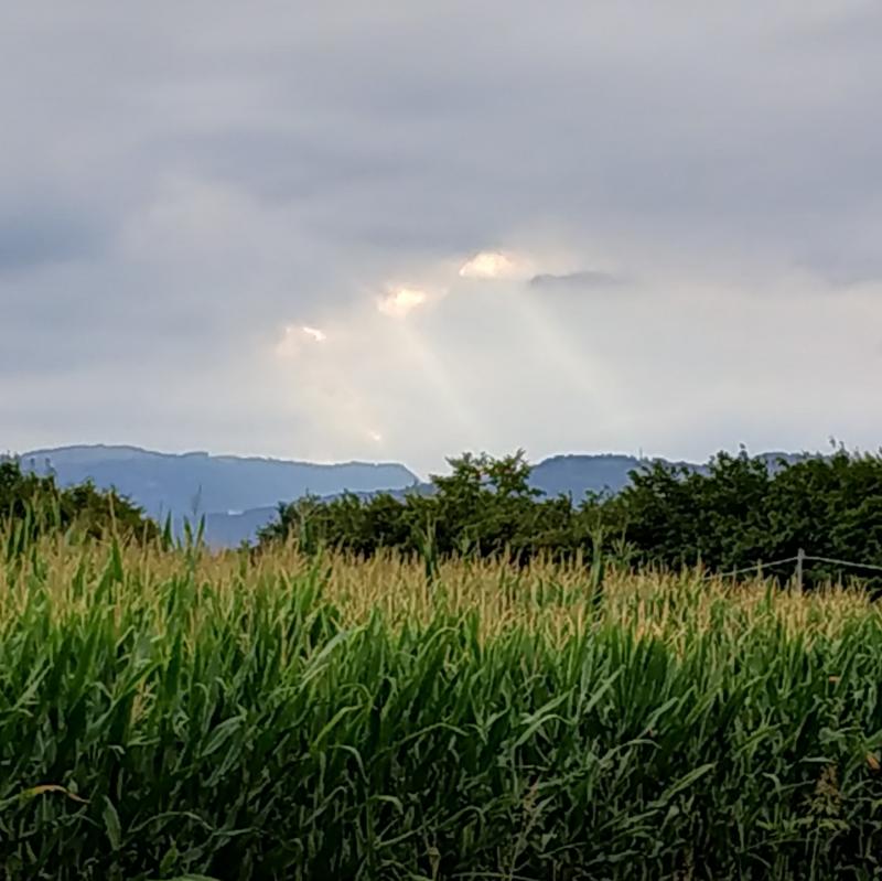 Fotosegnalazione di San zenone degli ezzelini