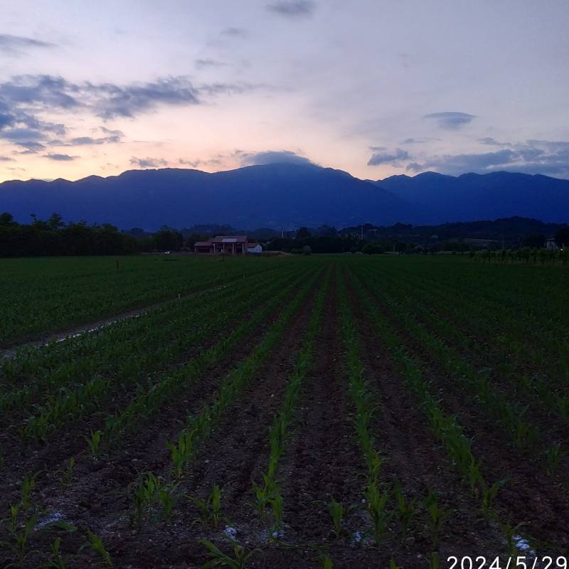 Fotosegnalazione di San zenone degli ezzelini