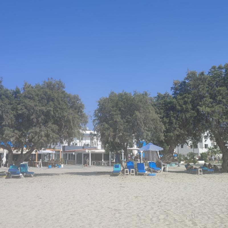Fotosegnalazione di Tigaki