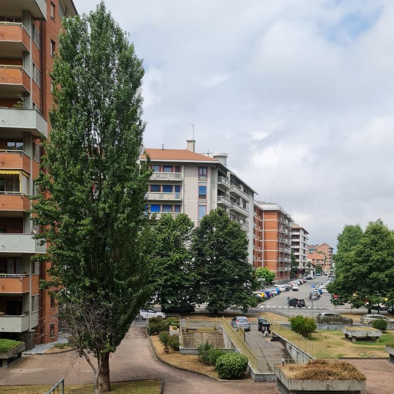 Fotosegnalazione di Torino