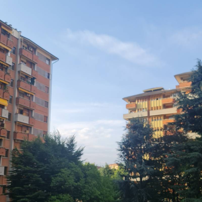 Fotosegnalazione di Torino