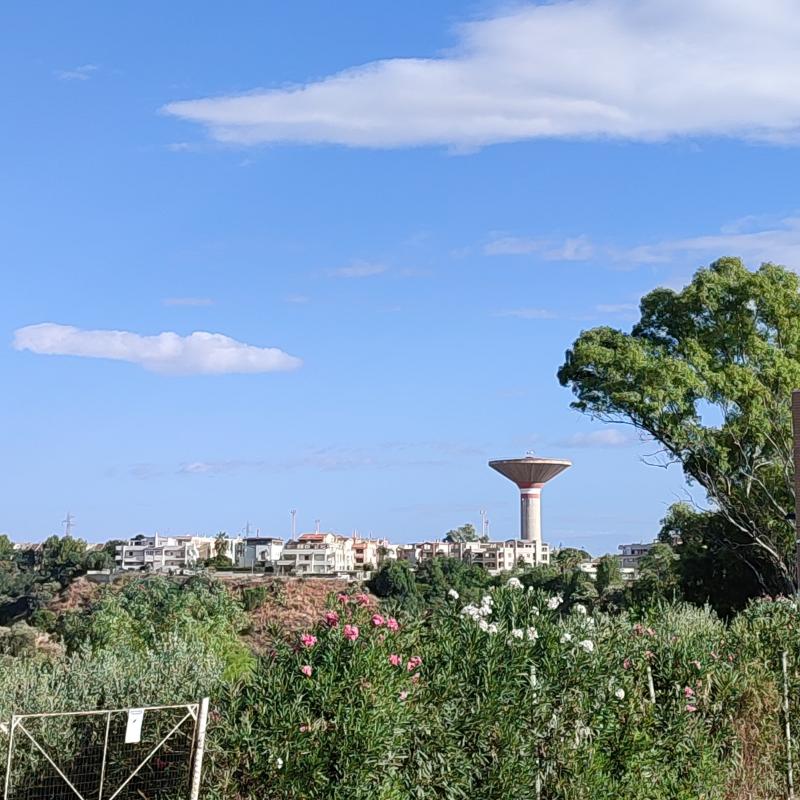 Fotosegnalazione di Bernalda