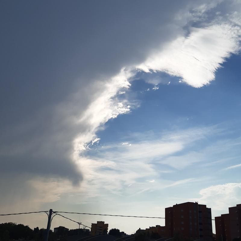 Fotosegnalazione di Senigallia
