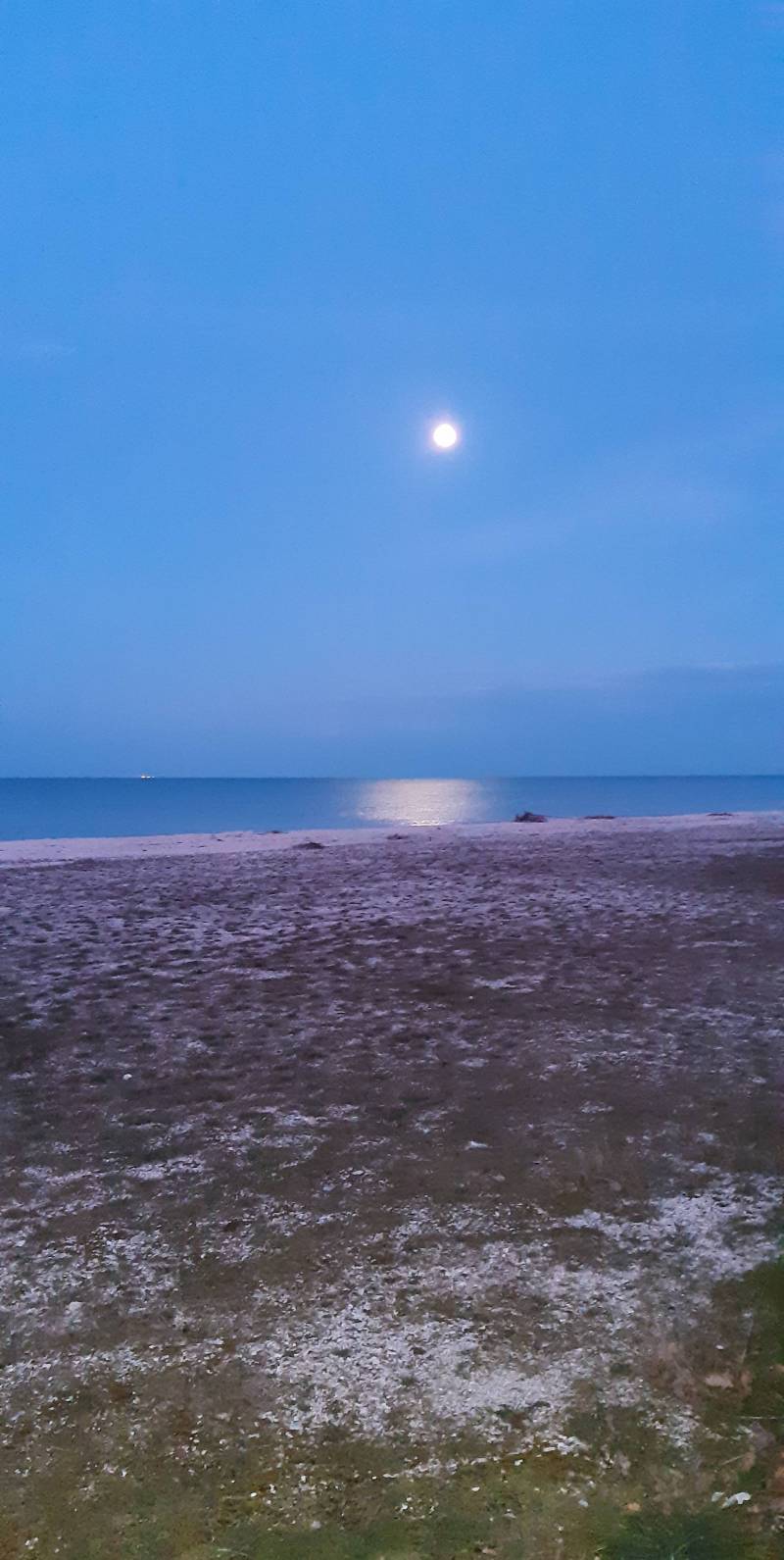 luna piena