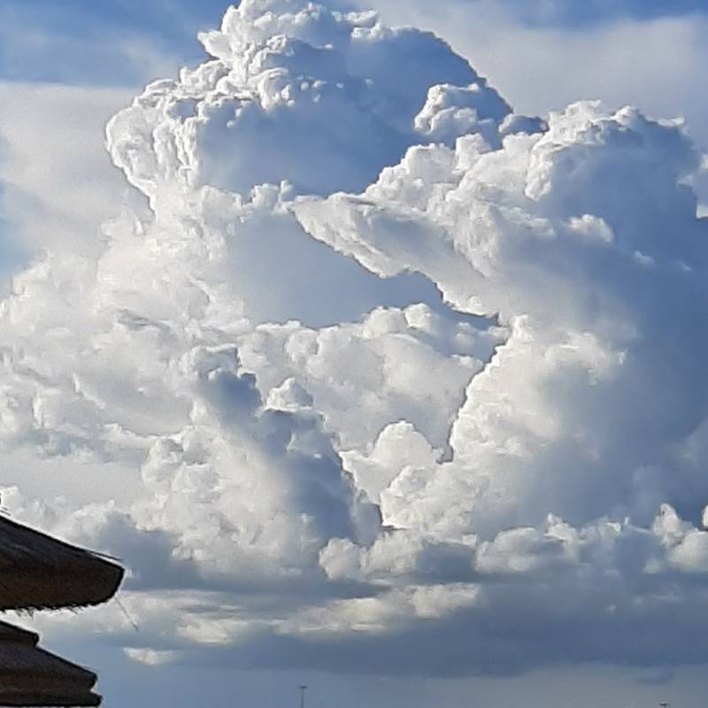 Fotosegnalazione di Giulianova