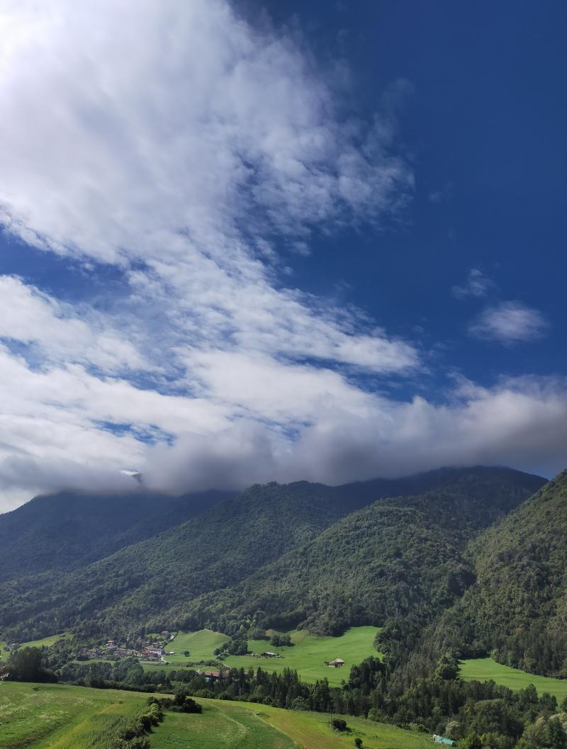 velature estese