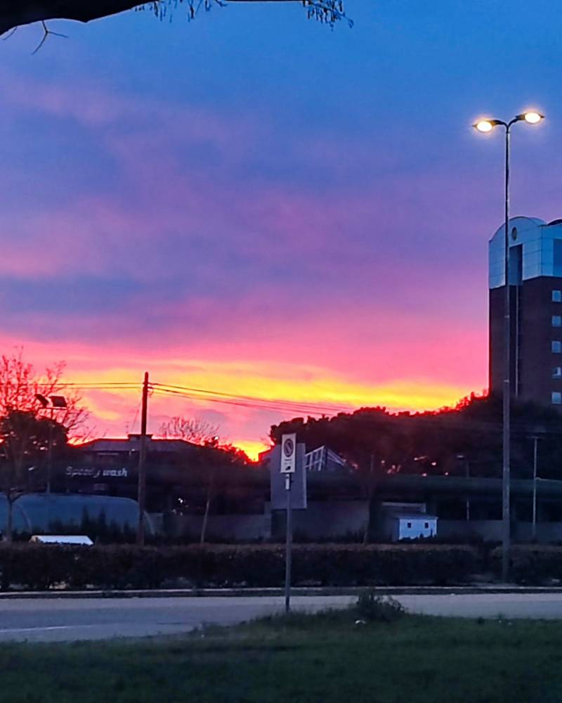 alba al saval 110323