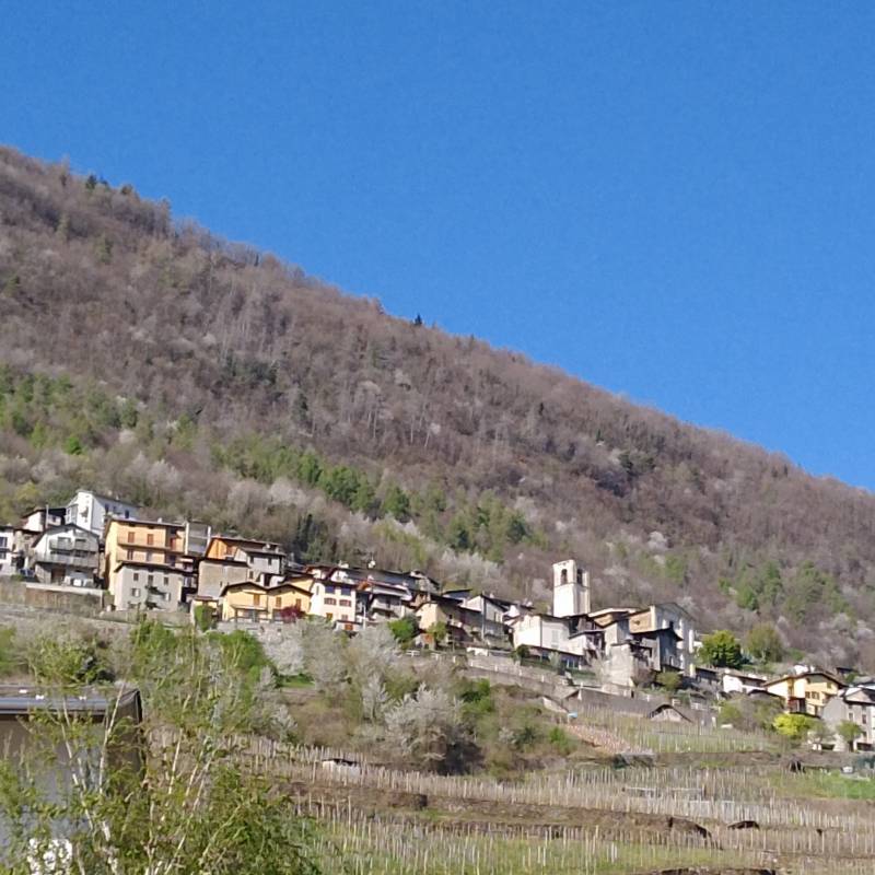 Contrada madonnina