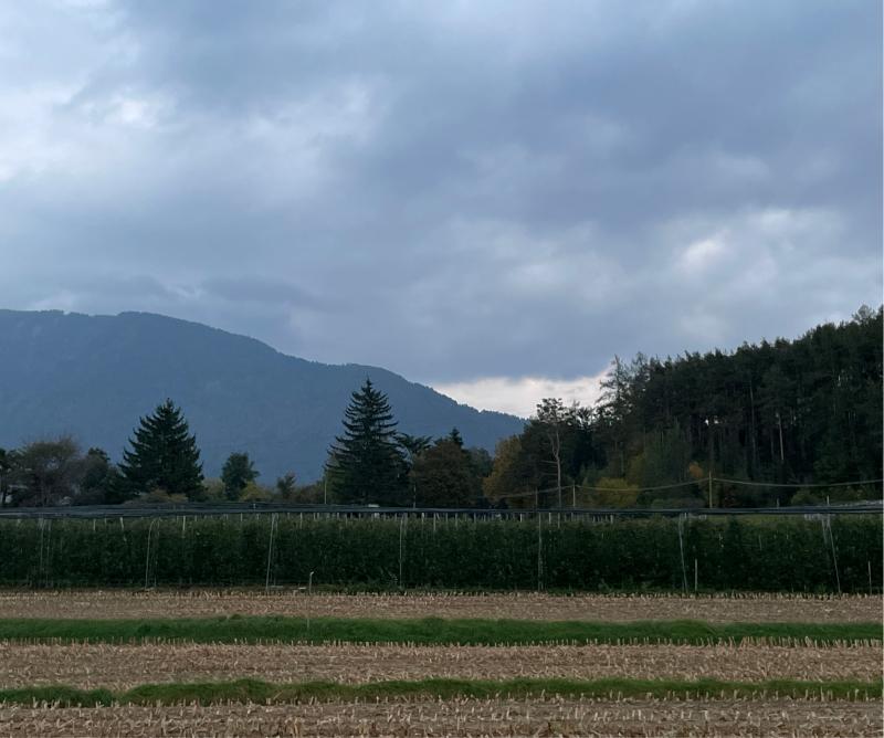 Fotosegnalazione di Naz sciaves
