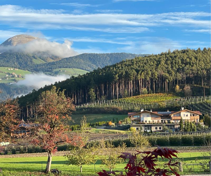 Fotosegnalazione di Naz sciaves