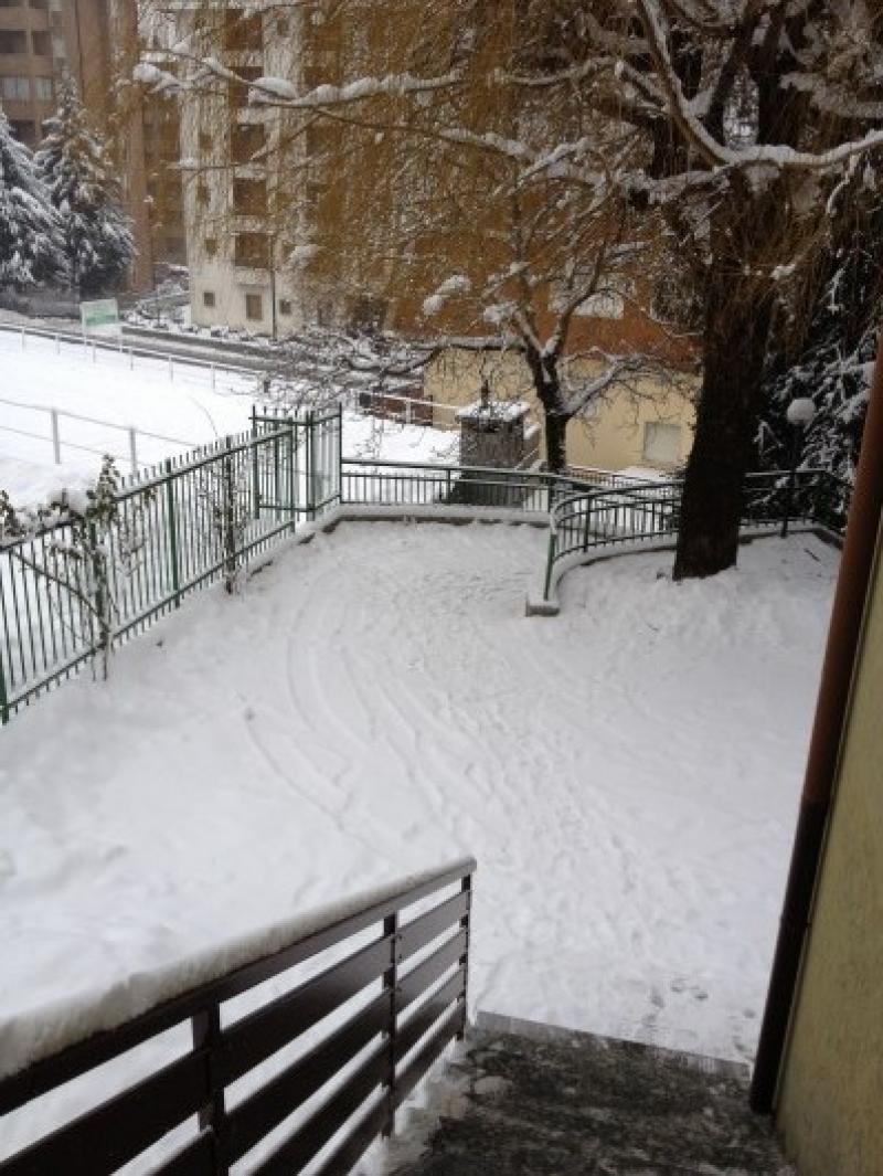 Moggio1-2-2012