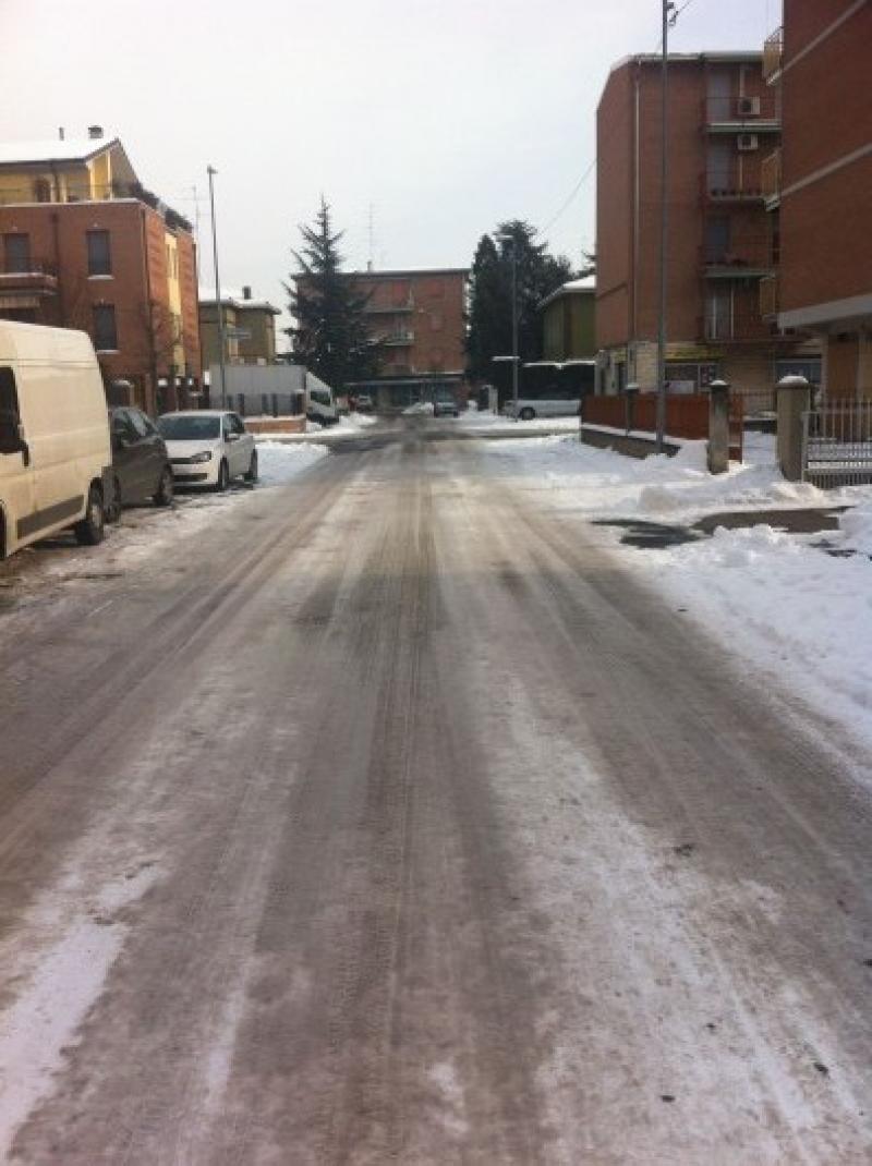 neve carpi