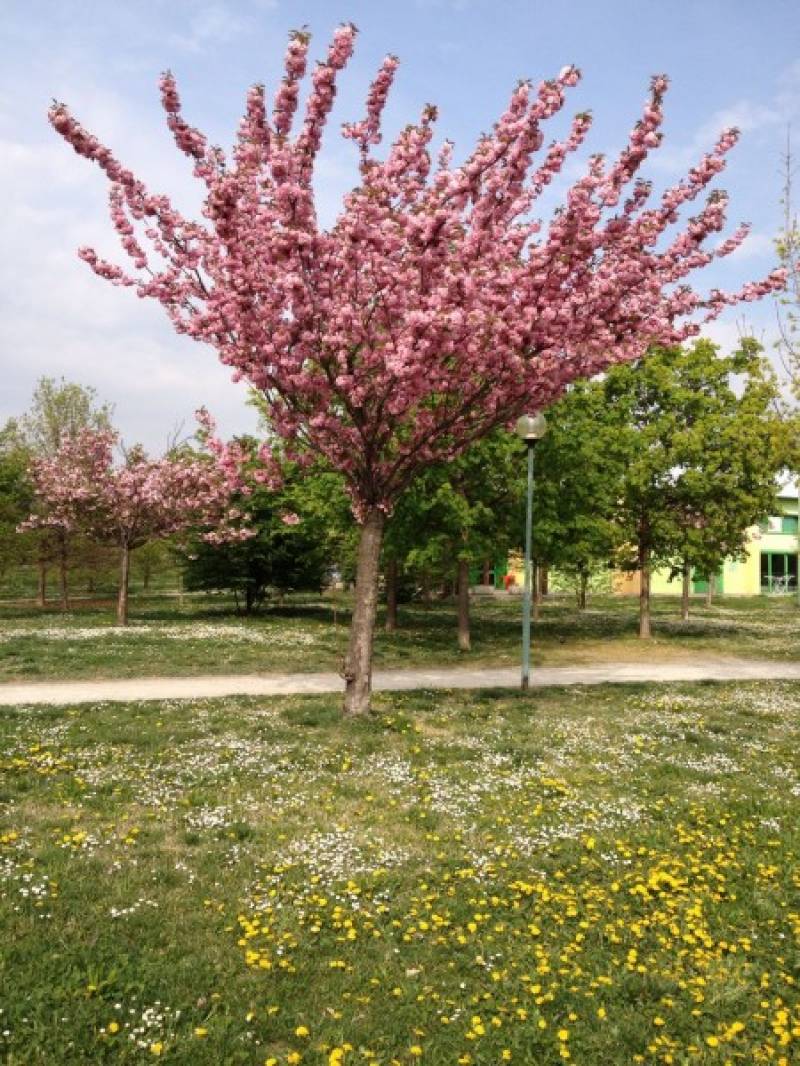 Brescia Primavera