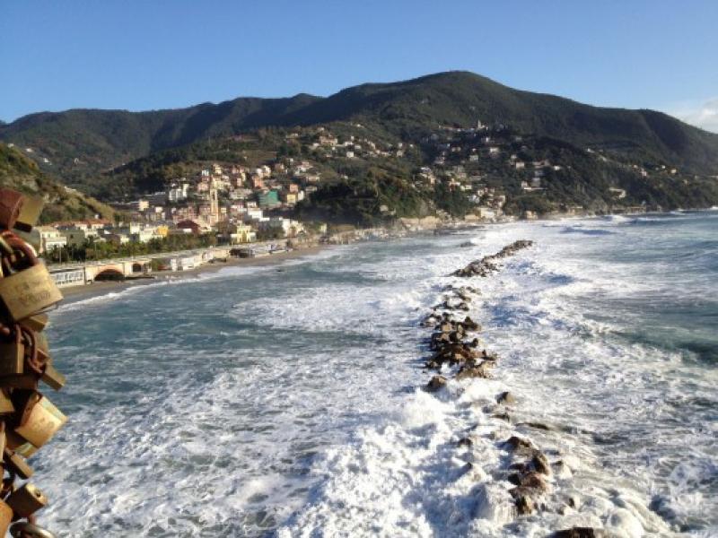 moneglia alba