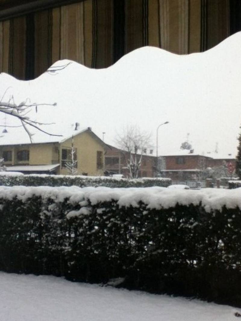 Nevicata a Borgarello