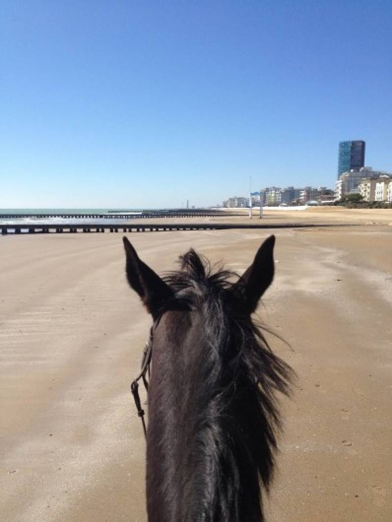La spiaggia a cavallo