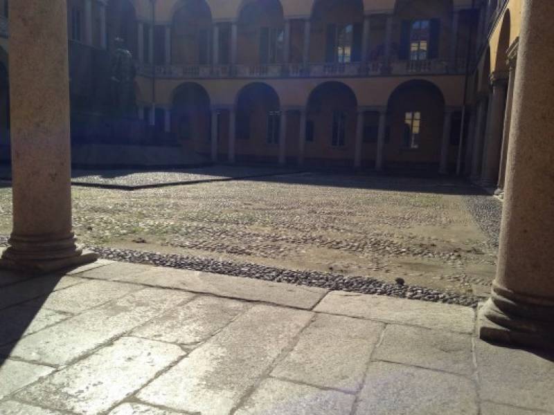 Pavia università