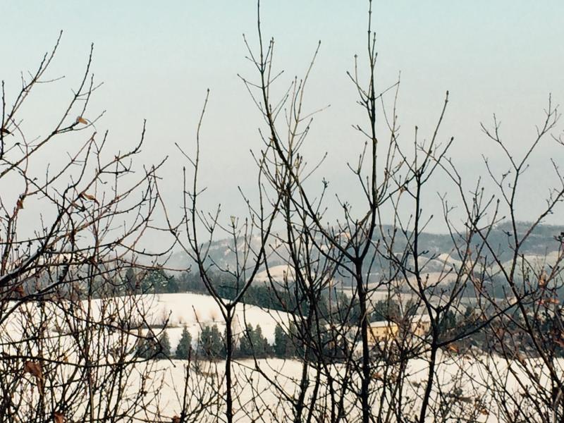 Nevicata a Motechiaro