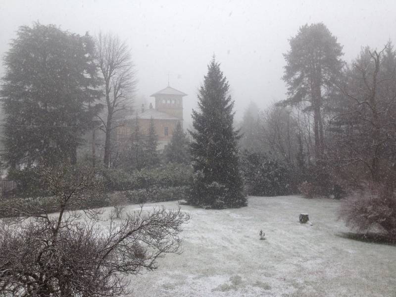 Nevicata In Corso