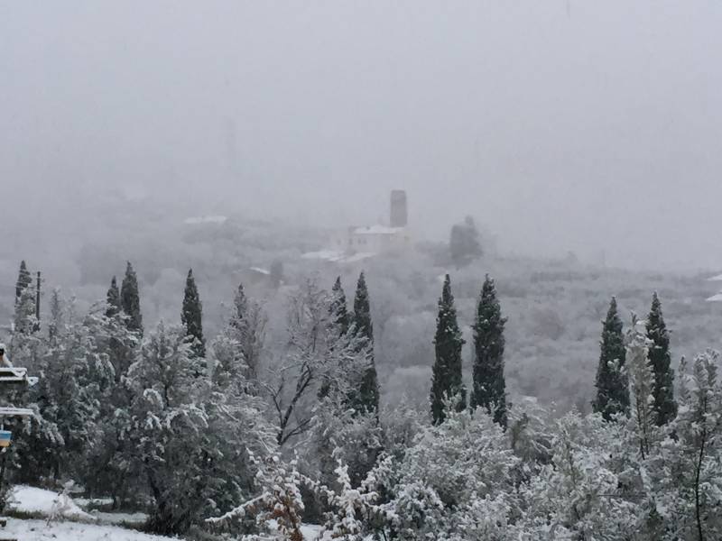 Neve Arezzo 