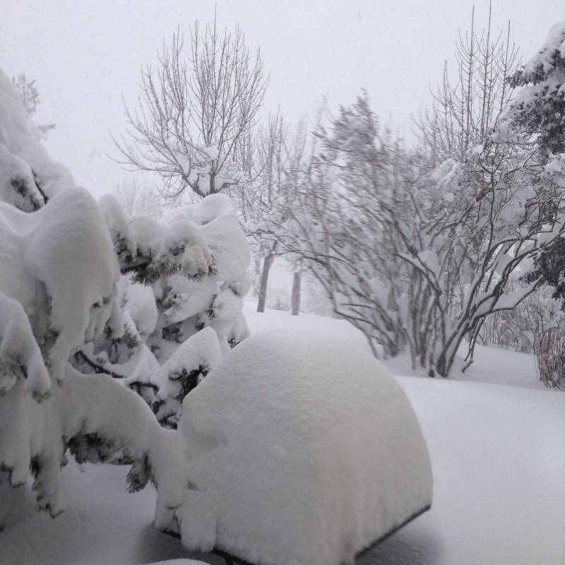 Nevicata 6gennaio2015