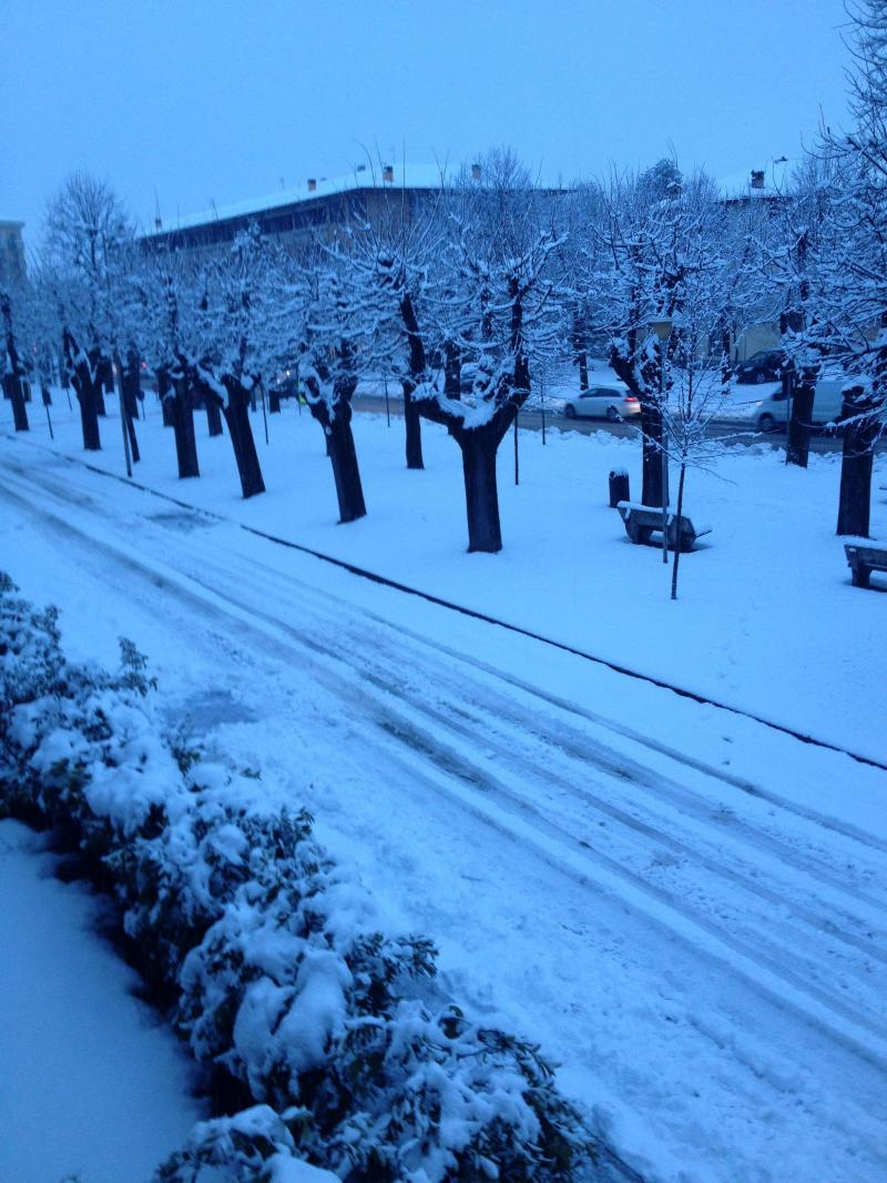 Nevicata 2015