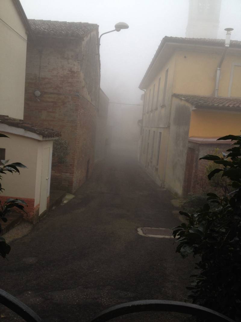 11 Gennaio 2015 Nebbia