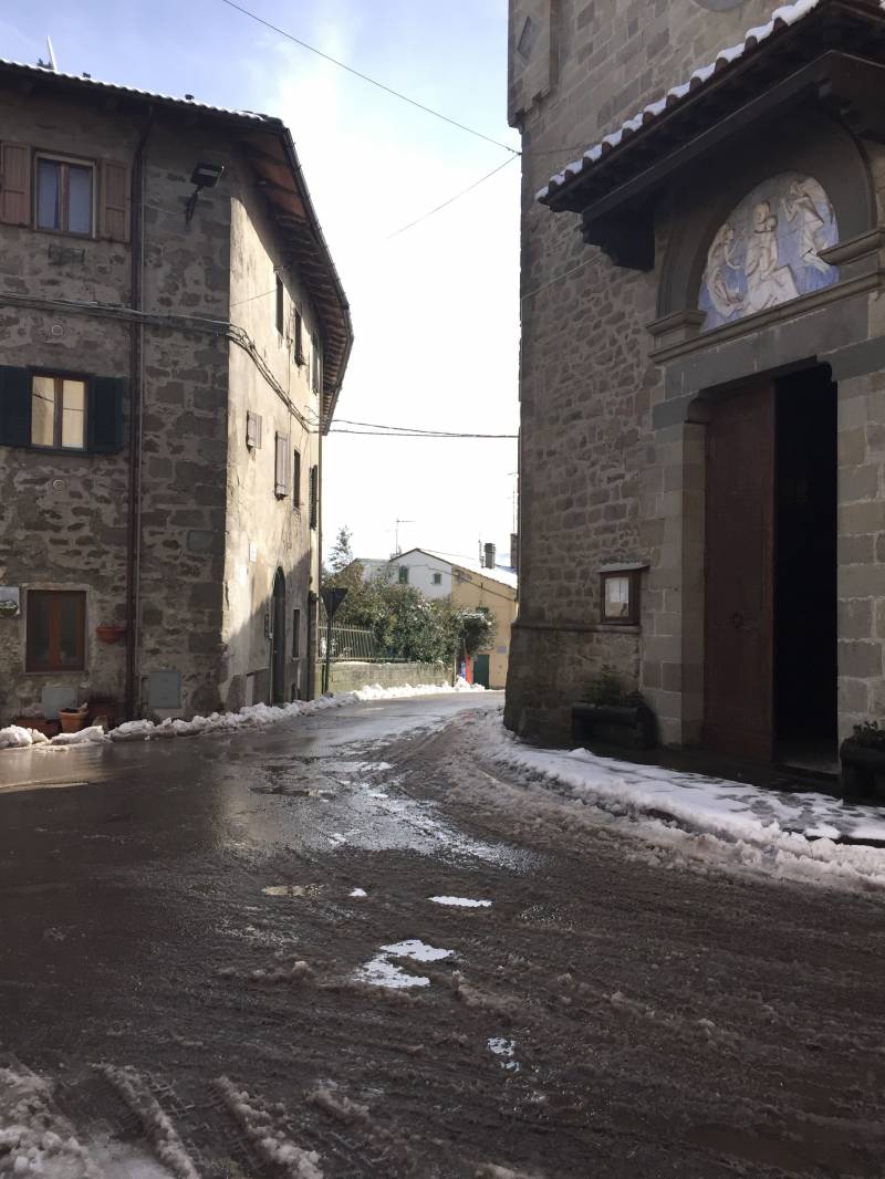 prunetta