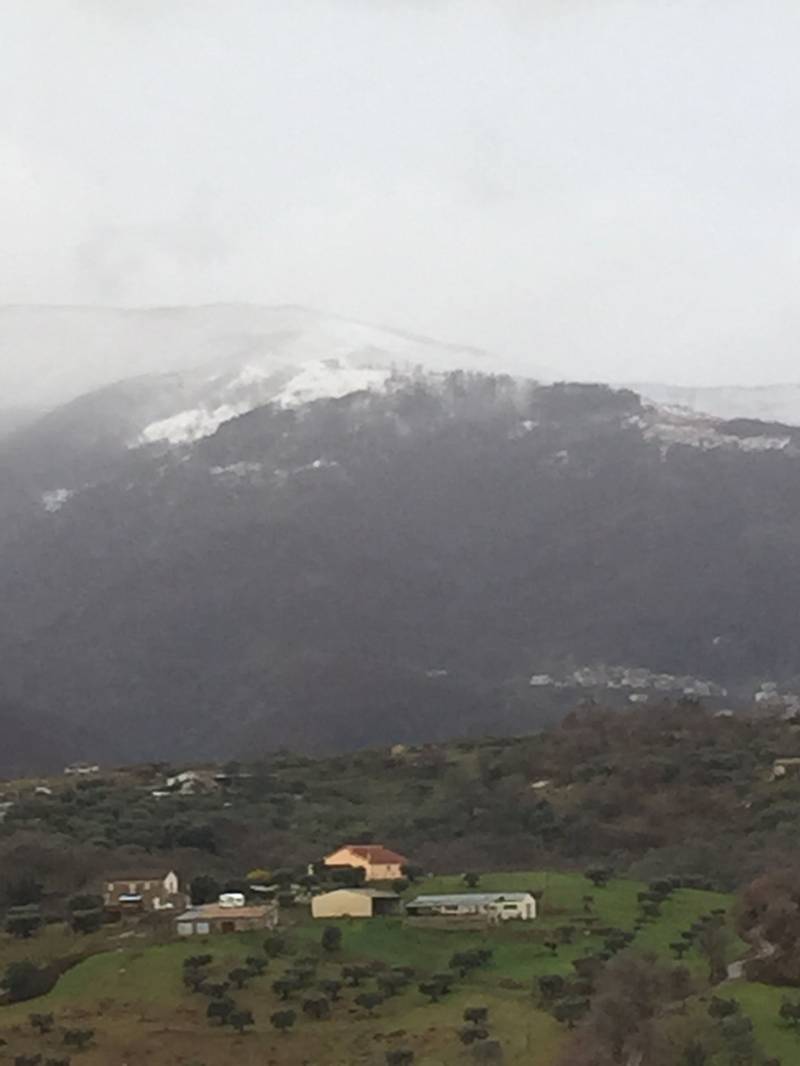 Neve In Montagna