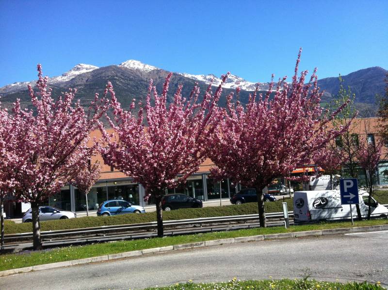 Aosta In Fiore