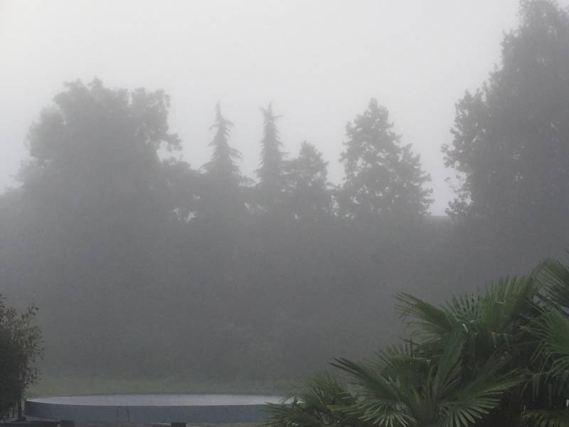 Nebbia 2 Agosto