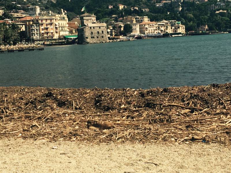 Spiagge Dopo Mareggiata Di 10 Giorni Fa