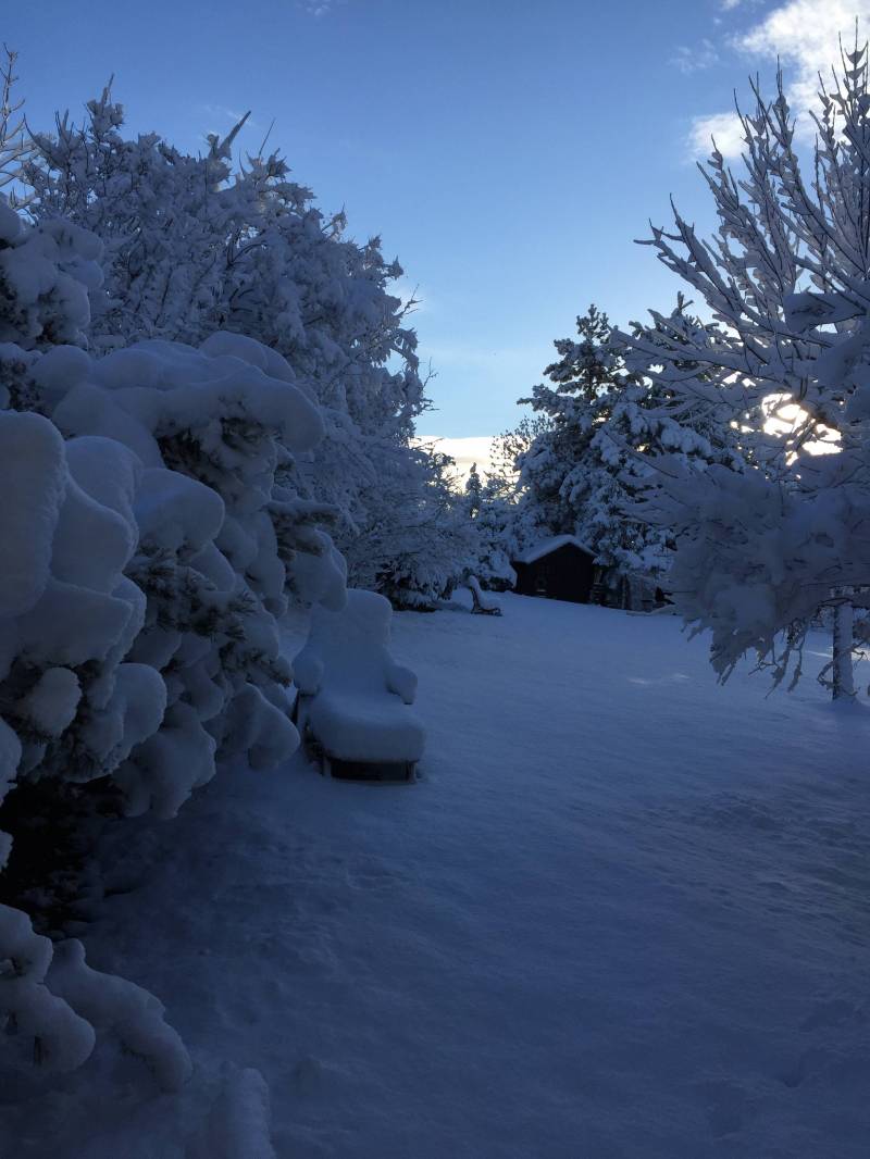 Nevicata 21 novembre 2015