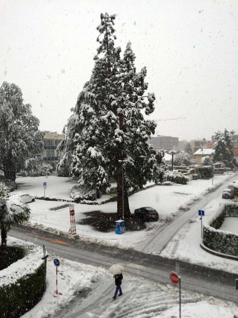 Locarno