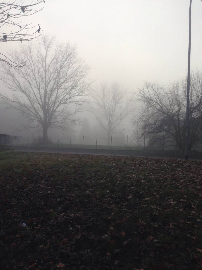 Nebbia 