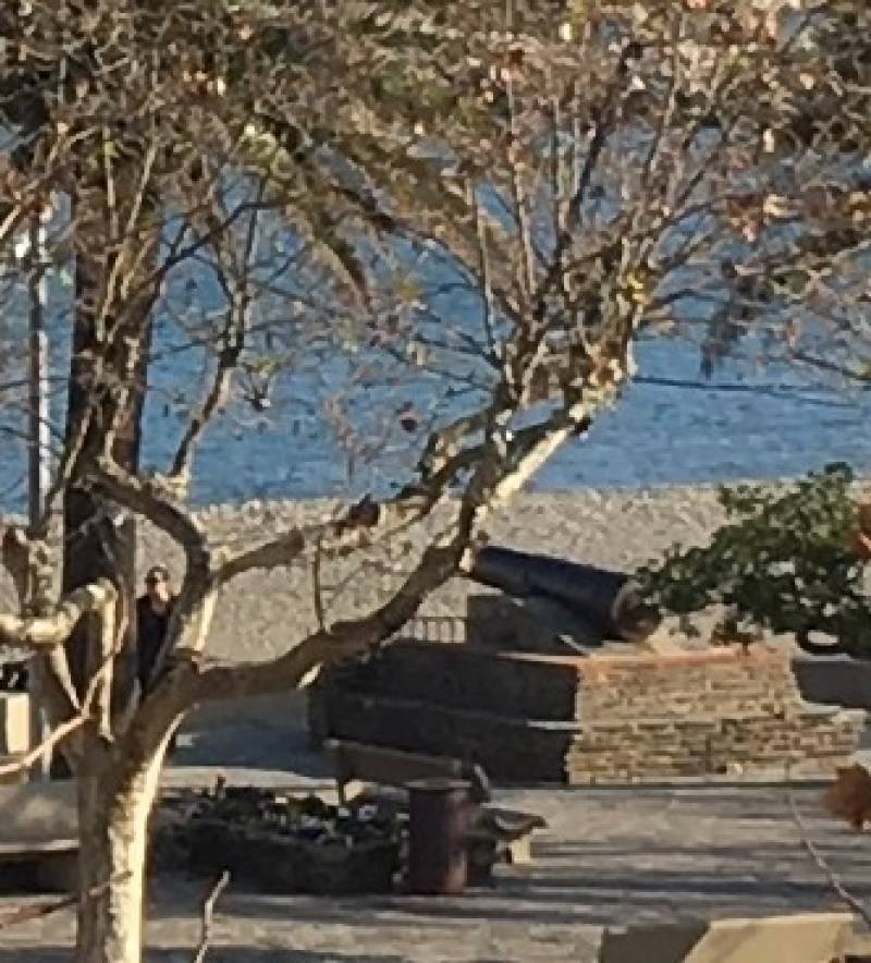Il Cannone Sulla Spiaggia