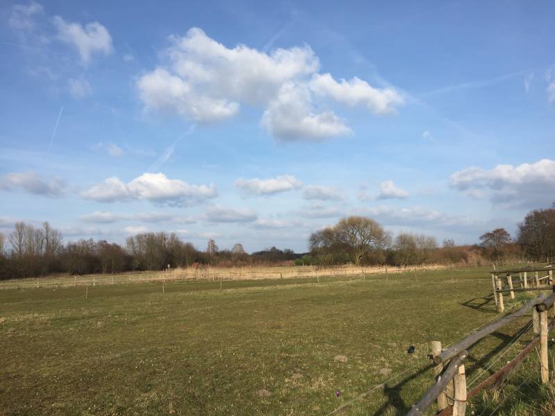 Il cielo di Teltow