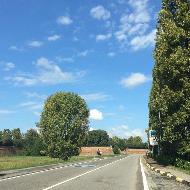 Fotosegnalazione di Ferrara