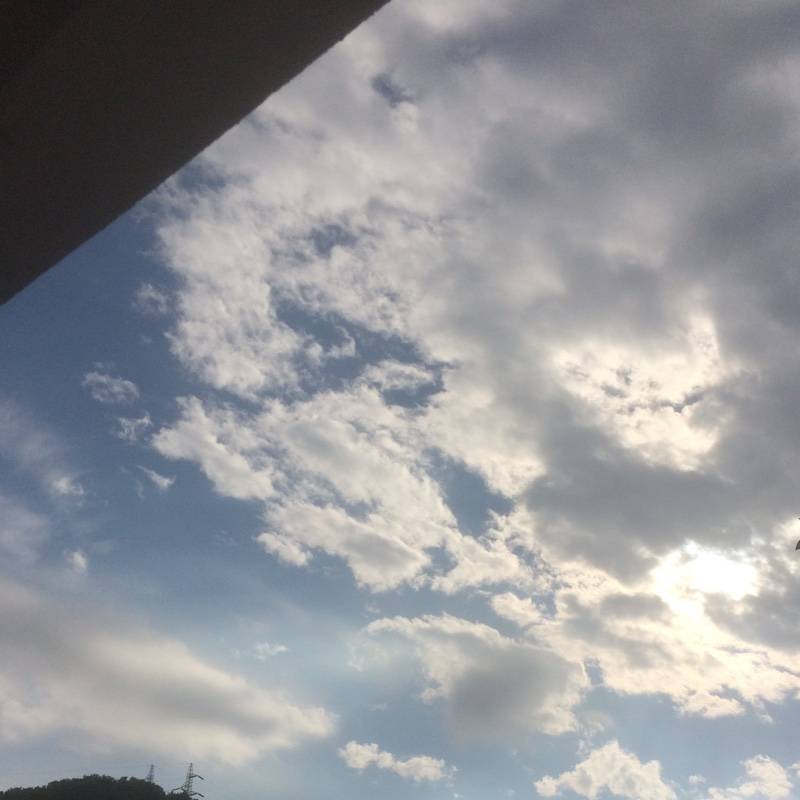 Fotosegnalazione di Roseto degli abruzzi