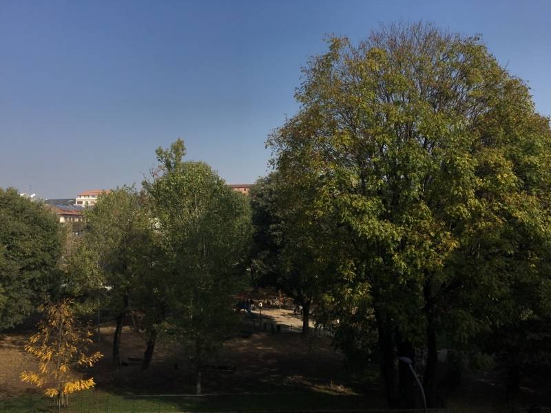 Fotosegnalazione di Milano bovisa
