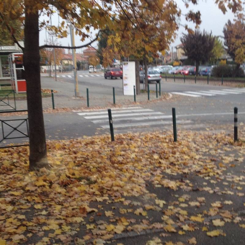 Fotosegnalazione di Rivalta di torino